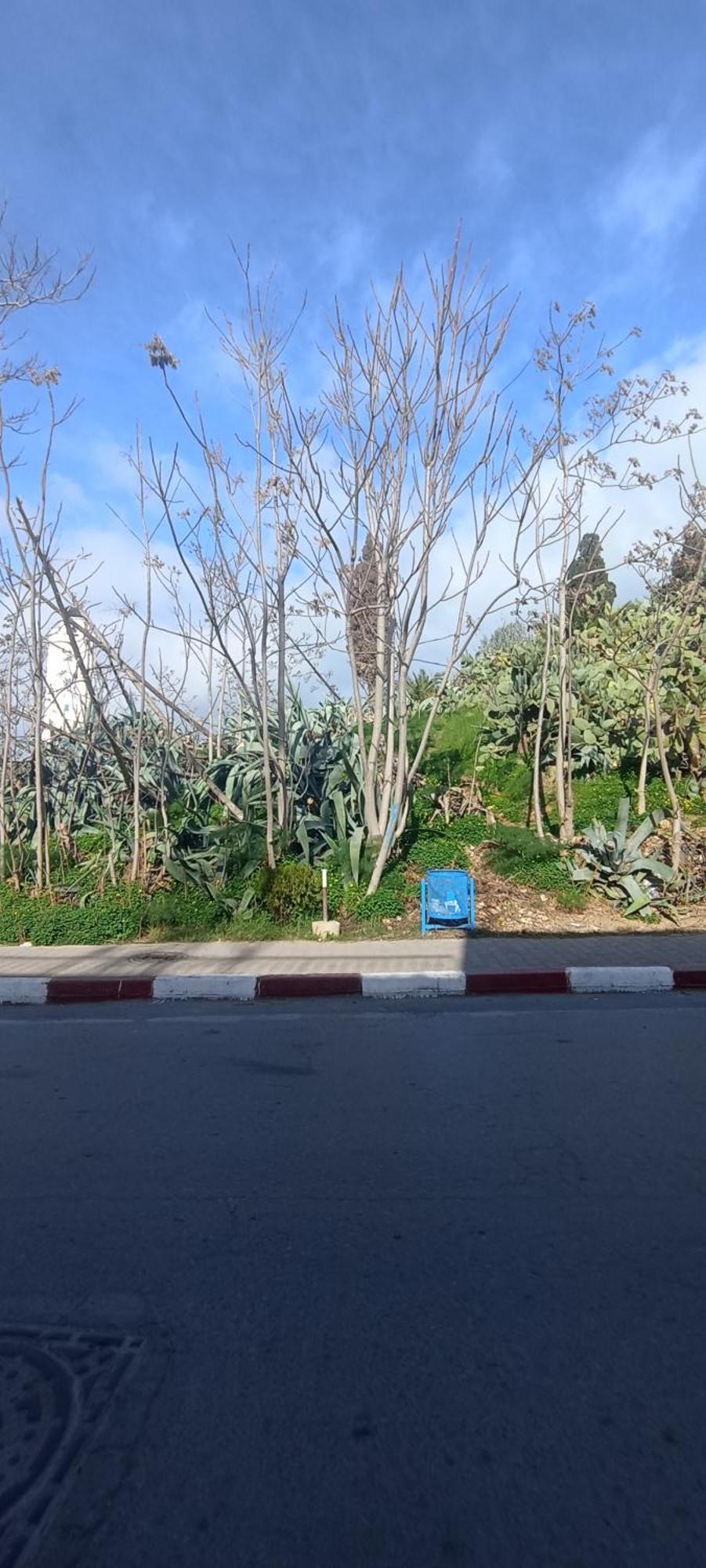 Jolie Maison Au Centre De Sidi Bou Ali エクステリア 写真